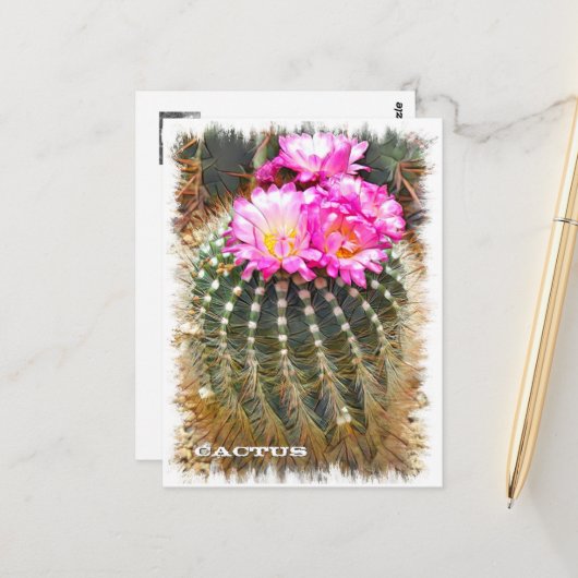 Cactus ポストカード briefkaart (Voorkant / Achterkant in situ)