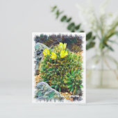 Cactus ポストカード briefkaart (Staand voorkant)