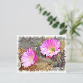 Cactus ポストカード briefkaart (Staand voorkant)