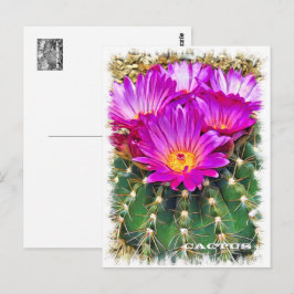 Cactus ポストカード briefkaart