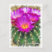 Cactus ポストカード briefkaart (Voorkant)
