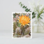 Cactus ポストカード briefkaart (Staand voorkant)