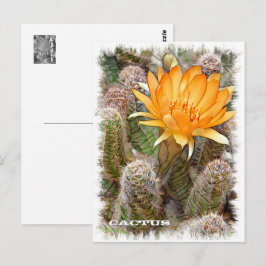 Cactus ポストカード briefkaart