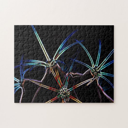 Cactus 1 11x14 252pc jpcna legpuzzel (Horizontaal)