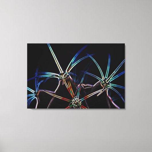 Cactus 1 36x24 (90x60cm) waccna canvas afdruk (Voorkant)
