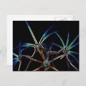 Cactus 1 pccna briefkaart (Voorkant / Achterkant)