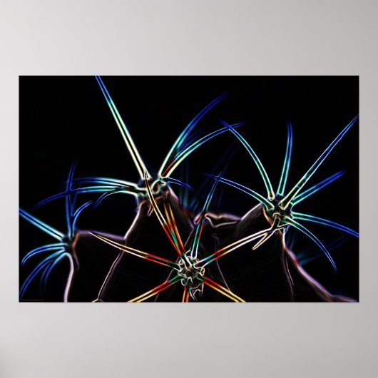 Cactus 1 wapcna poster (Voorkant)