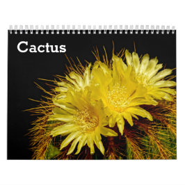Cactus 2025 kalender
