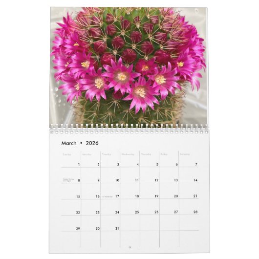 Cactus 2025 kalender (Mar 2026)