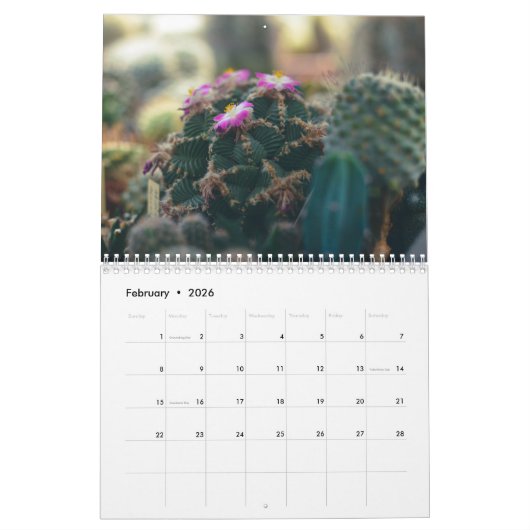 Cactus 2025 kalender (Feb 2026)