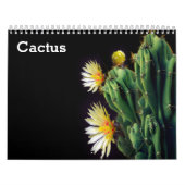 Cactus 2025 kalender (Hoes)