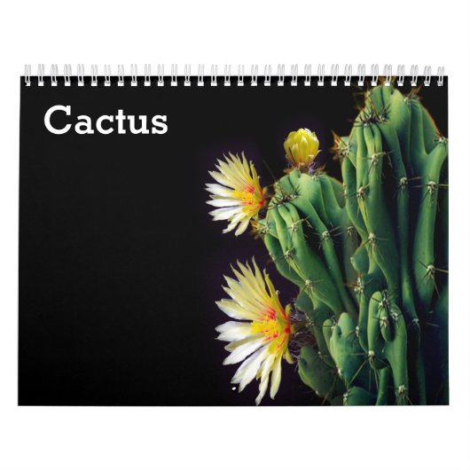 Cactus 2025 kalender (Hoes)