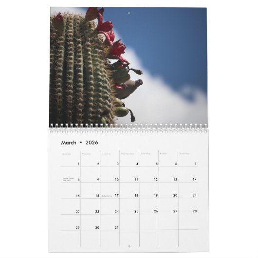 Cactus 2025 kalender (Mar 2026)