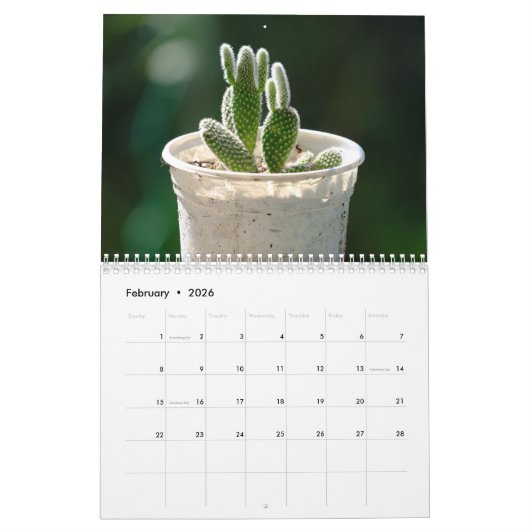Cactus 2025 kalender (Feb 2026)