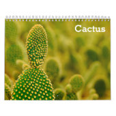 Cactus 2025 kalender (Hoes)