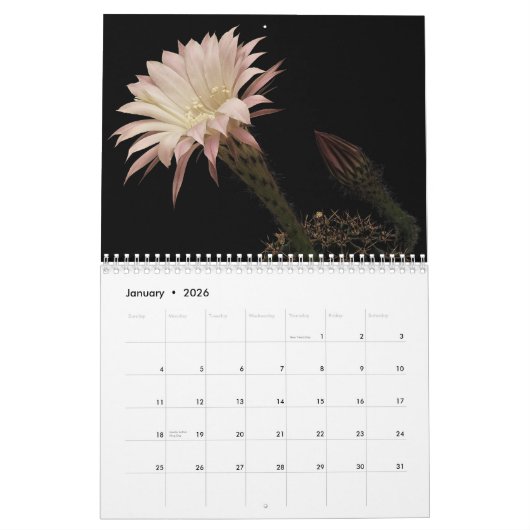 Cactus 2025 kalender (Jan 2026)