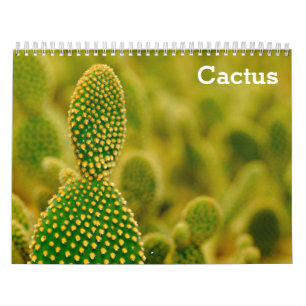 Cactus 2025 kalender