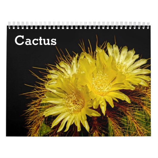 Cactus 2027 kalender (Hoes)