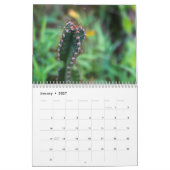 Cactus 2027 kalender (Jan 2027)