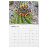 Cactus 202X kalender van Debra Lee Baldwin (Jan 2027)