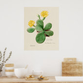 Cactus 2 poster (Keuken)