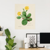 Cactus 2 poster (Thuiskantoor)