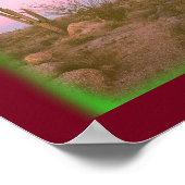 Cactus 35mm Film Print (Hoek)