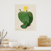 Cactus 3 poster (Keuken)