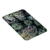 Cactus 3"x4" Magnet Magneet (Rechterzijde)