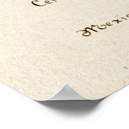 Cactus 4 poster (Hoek)