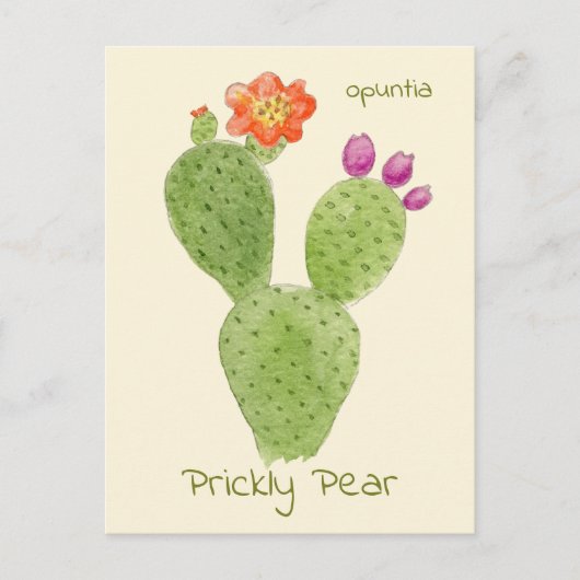 Cactus ansichtkaart van de vijg briefkaart (Voorkant)