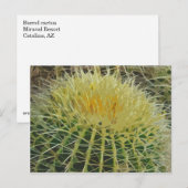Cactus art #1 Briefkaart (Voorkant / Achterkant)
