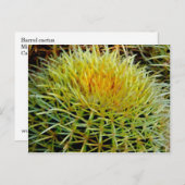 Cactus art #2 Briefkaart (Voorkant / Achterkant)