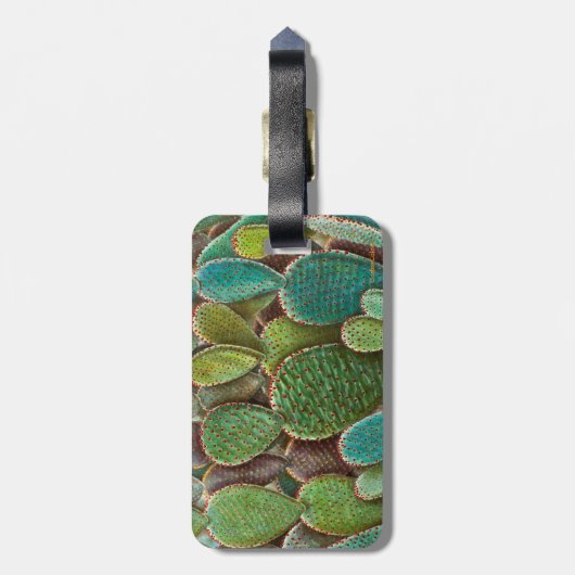 Cactus Bagagelabel (Achterkant verticaal)