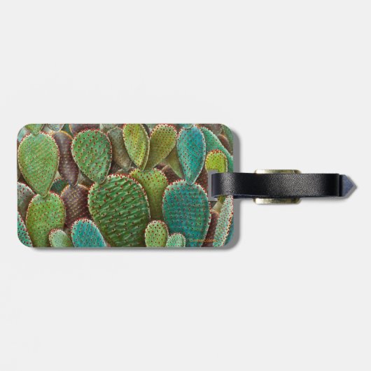 Cactus Bagagelabel (Achterkant horizontaal)