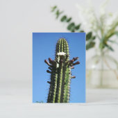 Cactus, Batopilas, Copper Canyon, Mexico Briefkaart (Staand voorkant)