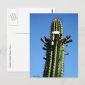 Cactus, Batopilas, Copper Canyon, Mexico Briefkaart (Voorkant / Achterkant)