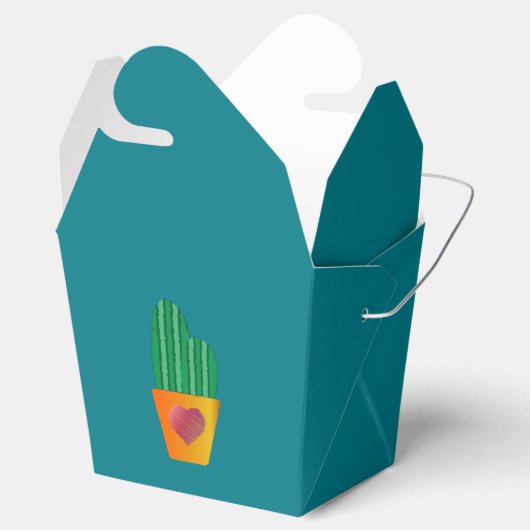 Cactus Bedankdoosjes (Geopend)