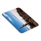 Cactus bij de rechthoekige magneet van Salar de Uy (Rechterzijde)