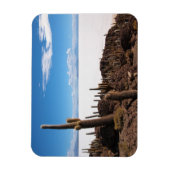 Cactus bij de rechthoekige magneet van Salar de Uy (Verticaal)