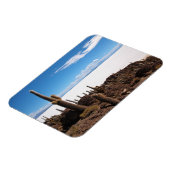 Cactus bij de rechthoekige magneet van Salar de Uy (Linkerzijde)