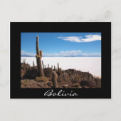 Cactus bij het zwarte briefkaart van de Salar de U (Voorkant)