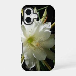Cactus Bloei iPhone 16 Hoesje