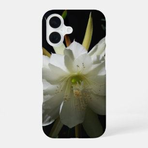 Cactus Bloei iPhone 16 Hoesje