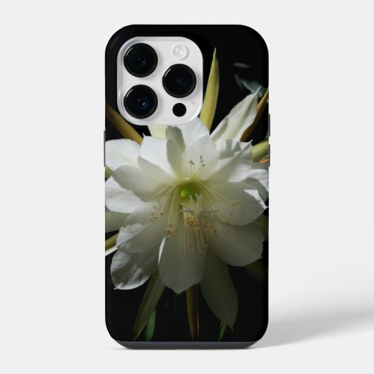 Cactus Bloei iPhone Hoesje (Achterkant)