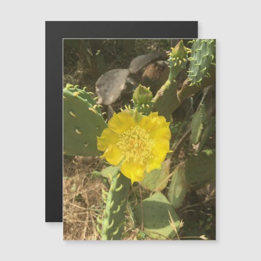 cactus-bloeimagneet (Voorkant / Achterkant)