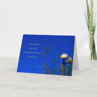 “Cactus Bloem #153” met gedicht: Na Alles