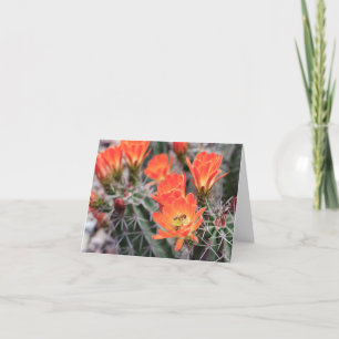 Cactus bloemen en bijen   Sunset Blossoms Note Kaa Bedankkaart