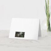 Cactus bloemen gevouwen Dank u kaart (Achterkant)