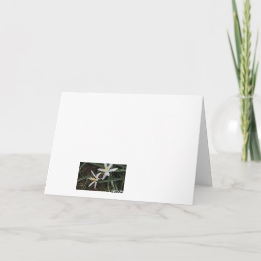 Cactus bloemen gevouwen Dank u kaart (Achterkant)